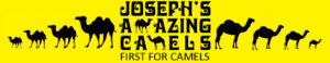 Josephs Amazing Camels Logo