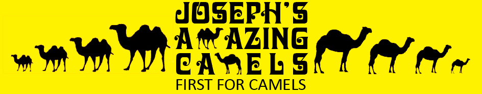 Joseph's Amazing Camels