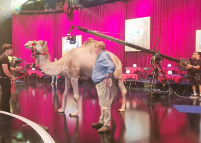 Josephs Amazing Camels Lights, Camera, Action on film set