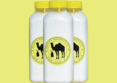 Camel Milk