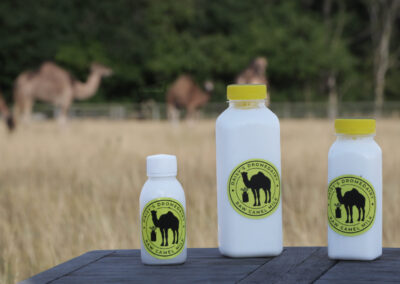 Camel Milk