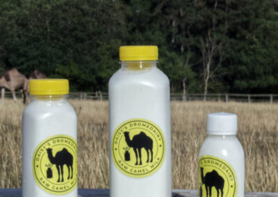 Camel Milk