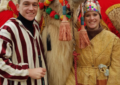 Christmas - Camels at JAC
