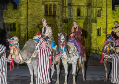 Josephs Amazing Camels Hever 2014