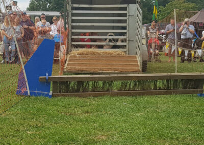 Pig Racing Gloucestershire