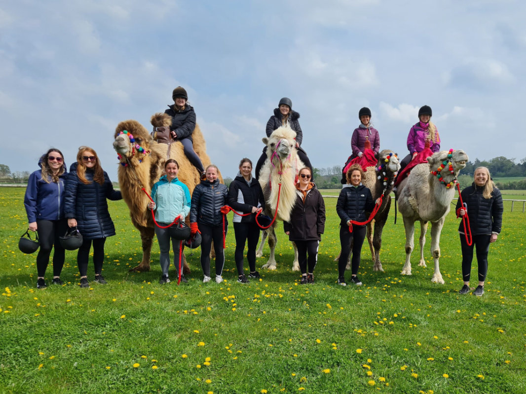 Camel Trekking at Josephs Amazing Camels